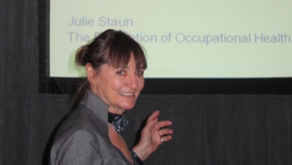  FOHNEU was represented at the AAOHN Inaugural Global Summit on Occupational Health Nursing 1-2 May 2011