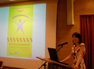 Heni 2011