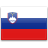Slovenia Flag